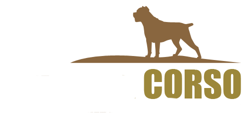 Logotype